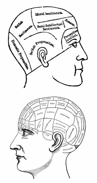 Detailed phrenological diagram showing a side view of a human head divided into regions labeled with various mental faculties and propensities including Benevolence, Veneration, Conscientiousness, Self-Esteem, Combativeness, Amativeness, Parental Love, and many others